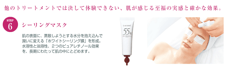 ステップ6